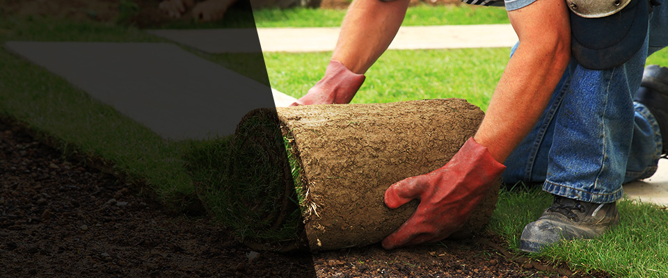 Waynesville Landscapers